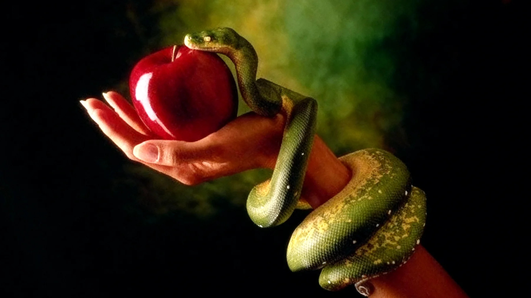 Forbidden Fruit2025-12-16T22:59:02.143Z"