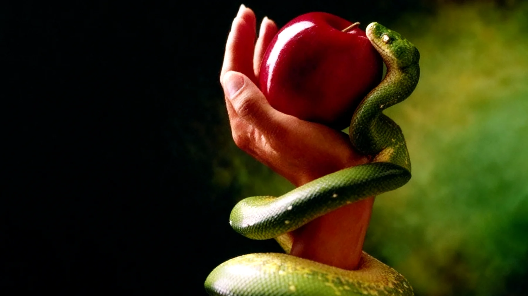 Forbidden Fruit2025-12-18T22:57:48.746Z"