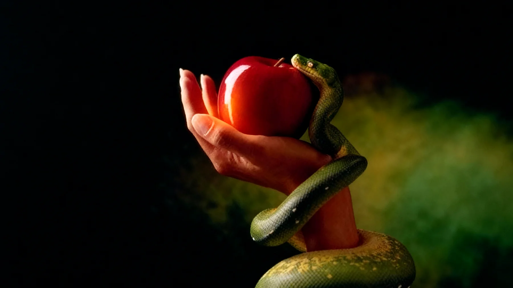 Forbidden Fruit2025-12-20T22:48:30.009Z"