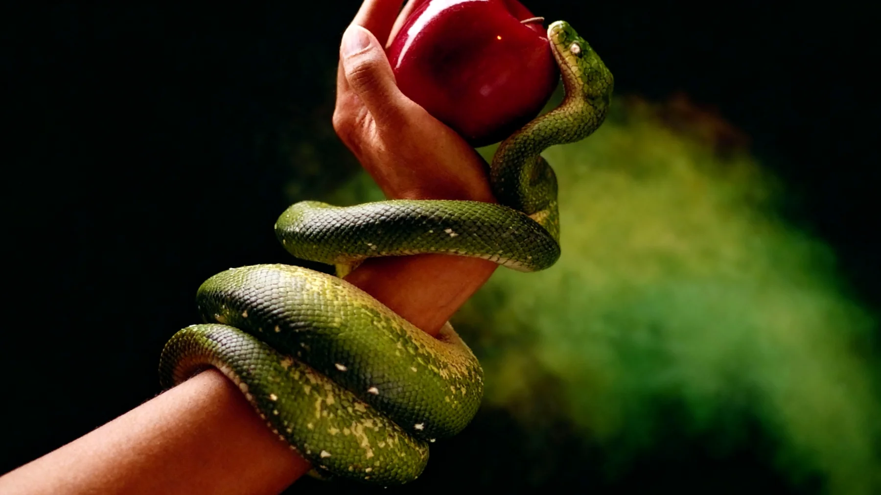 Forbidden Fruit2025-12-22T22:59:54.140Z"