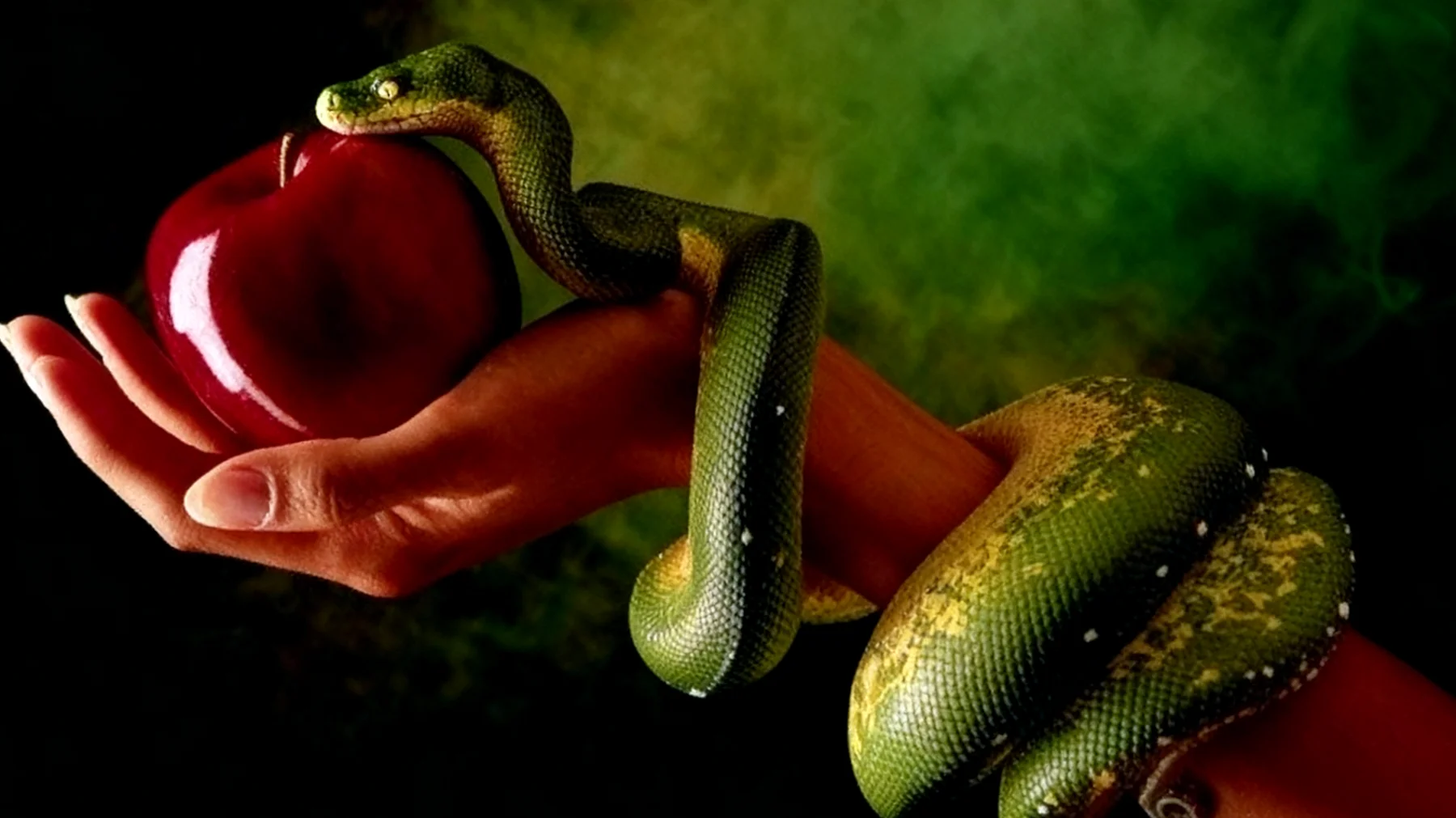 Forbidden Fruit2025-12-29T22:56:20.735Z"