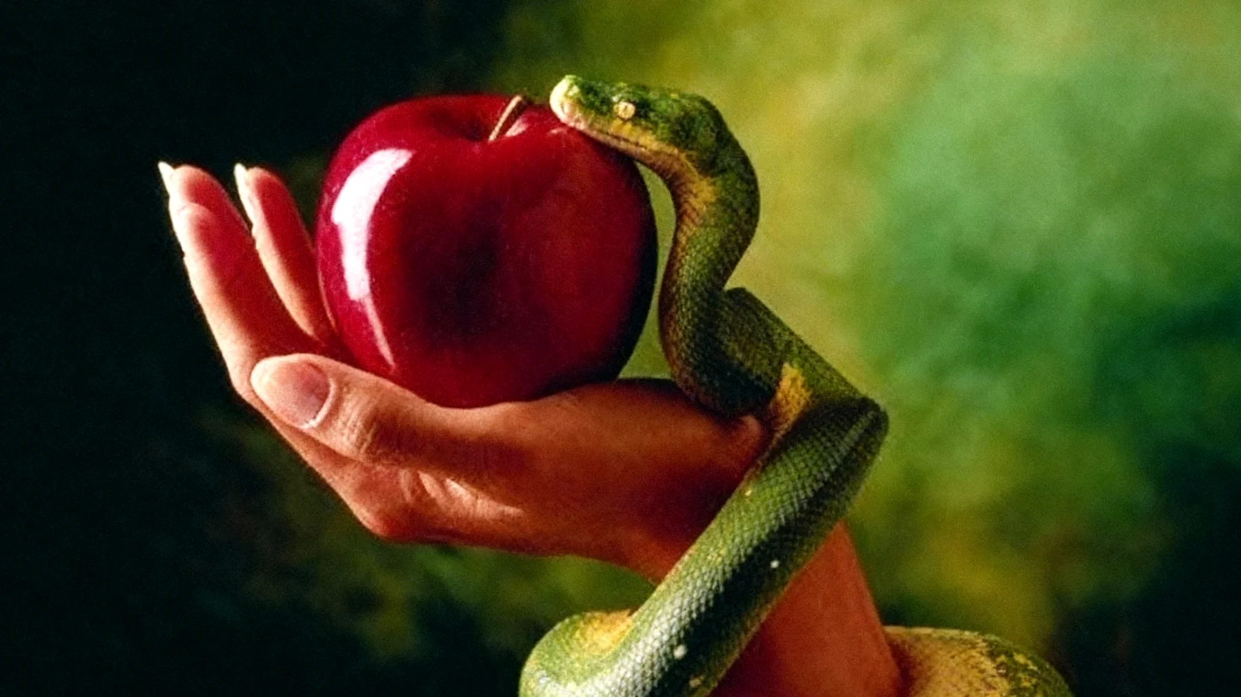 Forbidden Fruit2025-12-30T22:54:36.898Z"